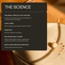 synchro-genesis-plant-based-protein-powd-4.jpg