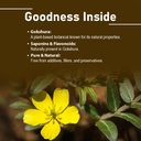 minature-gokshura-tribulus-terrestris-ta-2.jpg