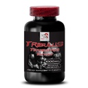 physical-vitality-support-tribulus-terre-2.jpg
