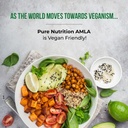 pure-nutrition-amla-capsules-indian-goos-4.jpg