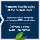 life-extension-nad-cell-support-nmn-heal-4.jpg