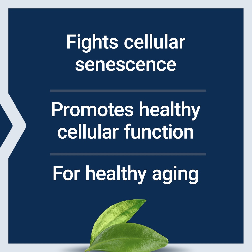 life-extension-geroprotect-ageless-cell--4.jpg