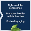 life-extension-geroprotect-ageless-cell--4.jpg