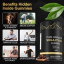 shilajit-gummies-form-himalayan-shilajit-5.jpg