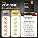 zooone-shilajit-himalayan-gummies-with-a-3.jpg