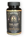 organic-himalayan-shilajit-resin-extract-2.jpg