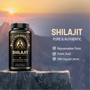 organic-himalayan-shilajit-resin-extract-3.jpg