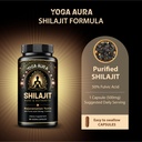 organic-himalayan-shilajit-resin-extract-4.jpg
