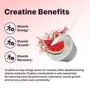 flat-tummy-pre-workout-powder-for-women--5.jpg