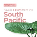 leilo-kava-powered-sparkling-relaxation--3.jpg
