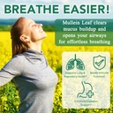 flasture-mullein-gummies-for-lungs-sinus-3.jpg
