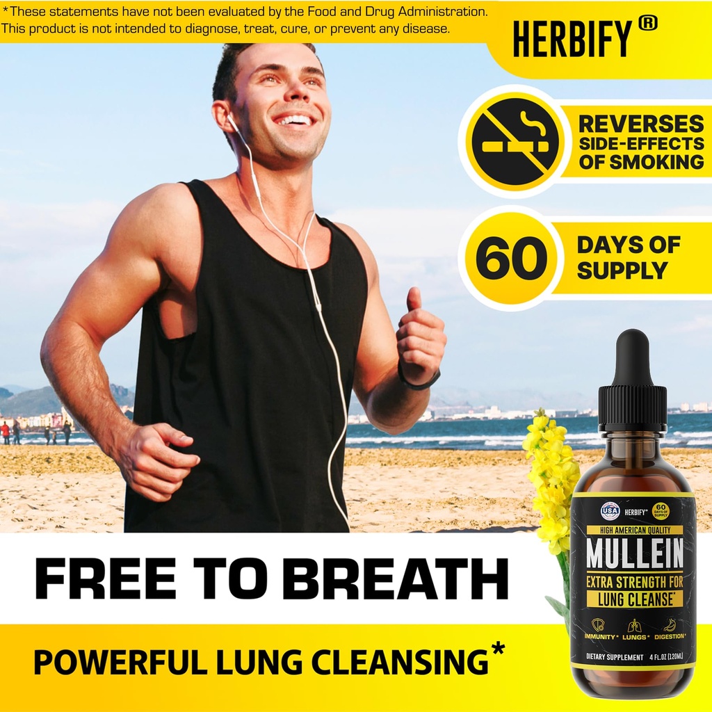 herbify-bundle-mullein-leaf-extract-chlo-2.jpg