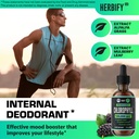 herbify-bundle-mullein-leaf-extract-chlo-5.jpg