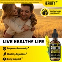 herbify-bundle-mullein-leaf-extract-biot-3.jpg
