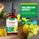 mullein-drops-for-lungs-cleanse-2-pack-l-5.jpg