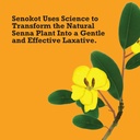 senokot-extra-strength-natural-vegetable-5.jpg