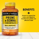 mason-natural-prune-senna-concentrate-na-2.jpg