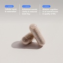 bodybio-calm-natural-stress-relief-blend-5.jpg
