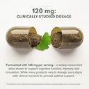 prominent-nutrition-ginkgo-biloba-antiox-4.jpg
