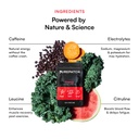 pure-patch-energy-patch-botanical-inspir-6.jpg