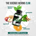 dr-zisman-zlim-fiber-capsules-fiber-supp-3.jpg