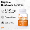 sunflower-lecithin-breastfeeding-sunflow-3.jpg