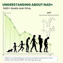 nad-1000-mg-capsules-60-vegan-capsules-n-3.jpg
