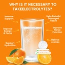 venture-pal-sugar-free-electrolytes-powd-5.jpg