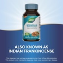 nature-s-way-boswellia-premium-extract-s-5.jpg