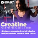 gnarly-nutrition-creatine-powder-creapur-4.jpg