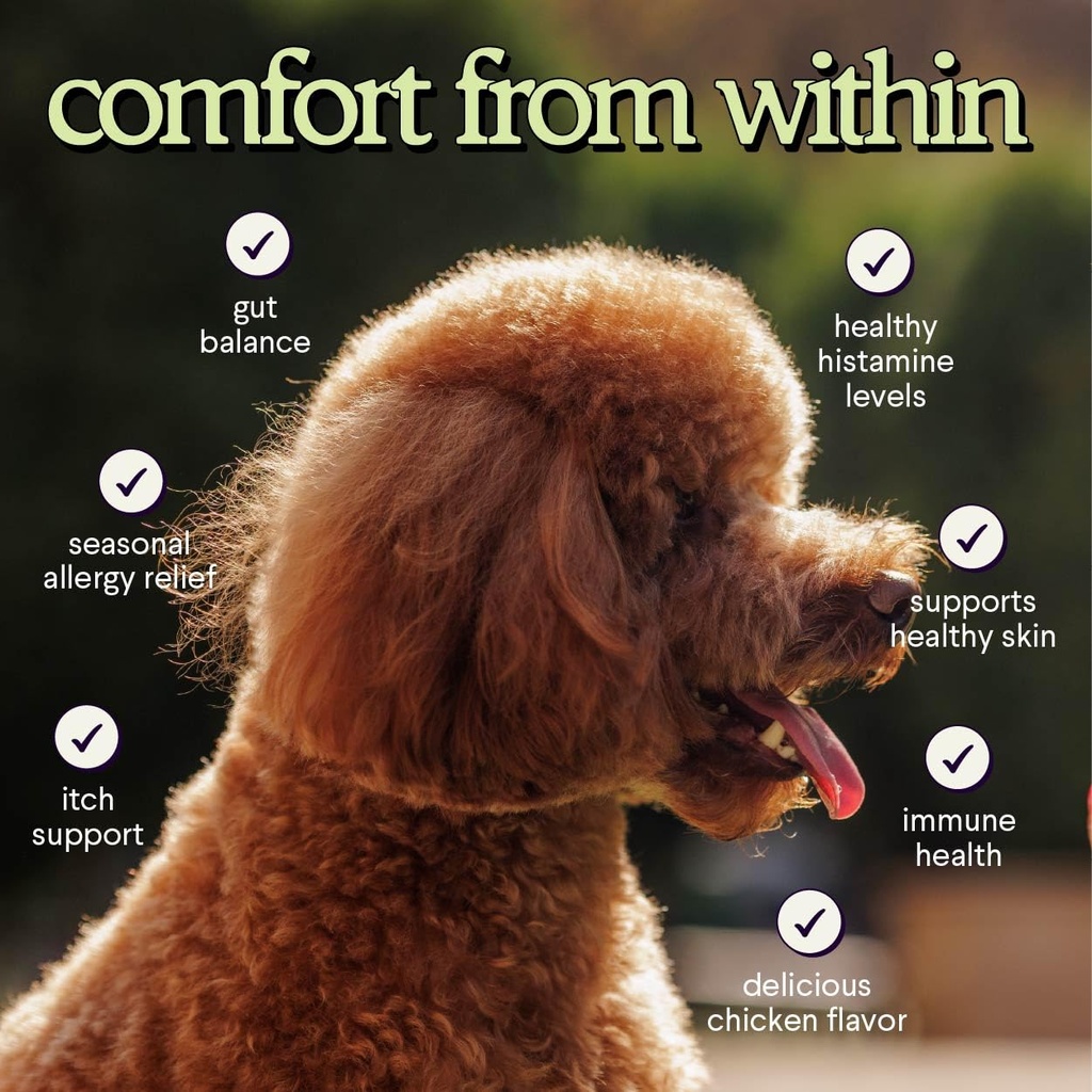premium-allergy-immune-probiotics-for-do-6.jpg