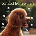premium-allergy-immune-probiotics-for-do-6.jpg