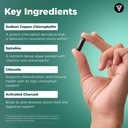 vital-vitamins-chlorophyll-complex-60-ct-6.jpg