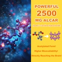 2-pack-acetyl-l-carnitine-gummies-sugar--3.jpg