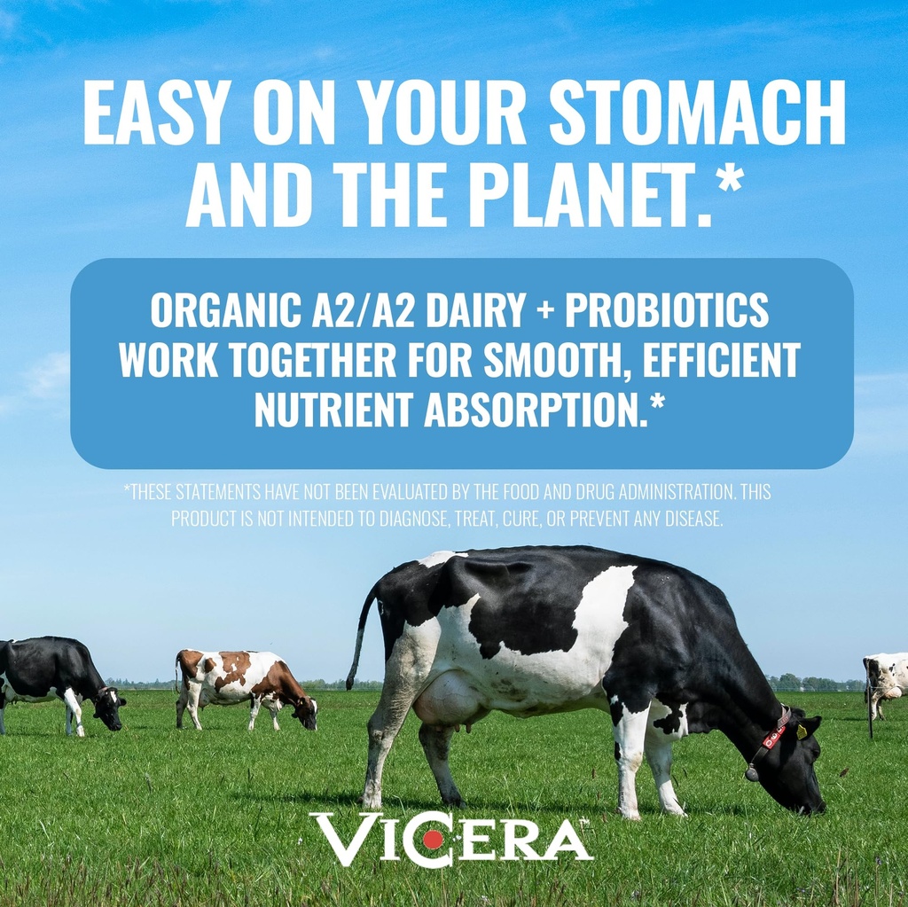 vicera-a2-protein-powder-vanilla-creme-2-4.jpg