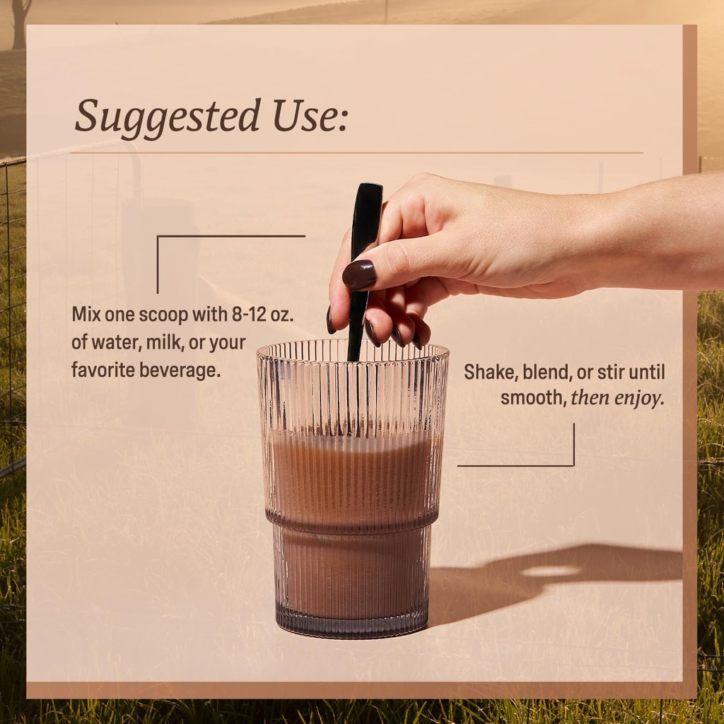women-s-whey-protein-powder-chocolate-gr-6.jpg