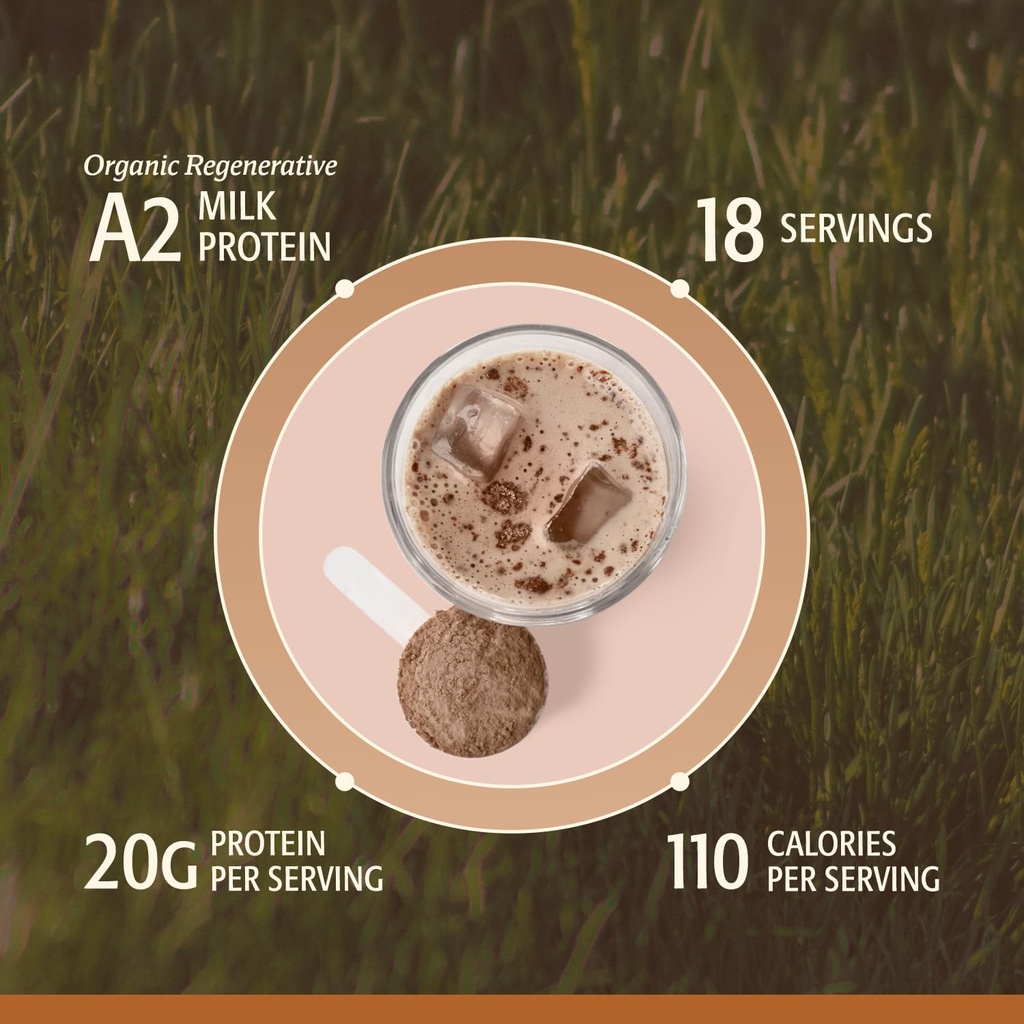 women-s-whey-protein-powder-chocolate-gr-4.jpg