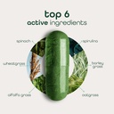 zena-nutrition-organic-super-greens-frui-2.jpg