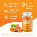 turmeric-gummies-with-ginger-root-extrac-5.jpg