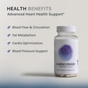 infiniwell-infinwell-cardio-prime-heart--2.jpg