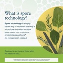 youtheory-spore-probiotic-powder-vegan-g-4.jpg
