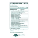 genestra-brands-hmf-multi-strain-16-stra-2.jpg