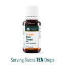 genestra-brands-black-currant-bud-herbal-3.jpg