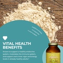 healthforce-superfoods-gelatinized-maca--5.jpg
