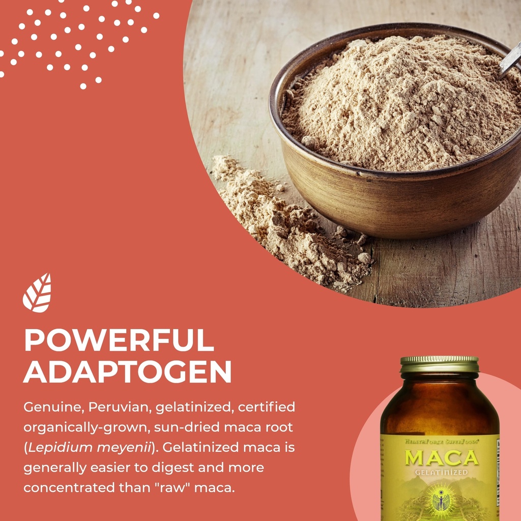 healthforce-superfoods-gelatinized-maca--4.jpg