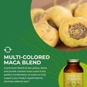 healthforce-superfoods-gelatinized-maca--6.jpg
