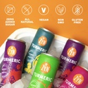 zyn-turmeric-wellness-drink-24-pack-mixe-5.jpg