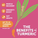zyn-turmeric-wellness-drink-24-pack-mixe-3.jpg
