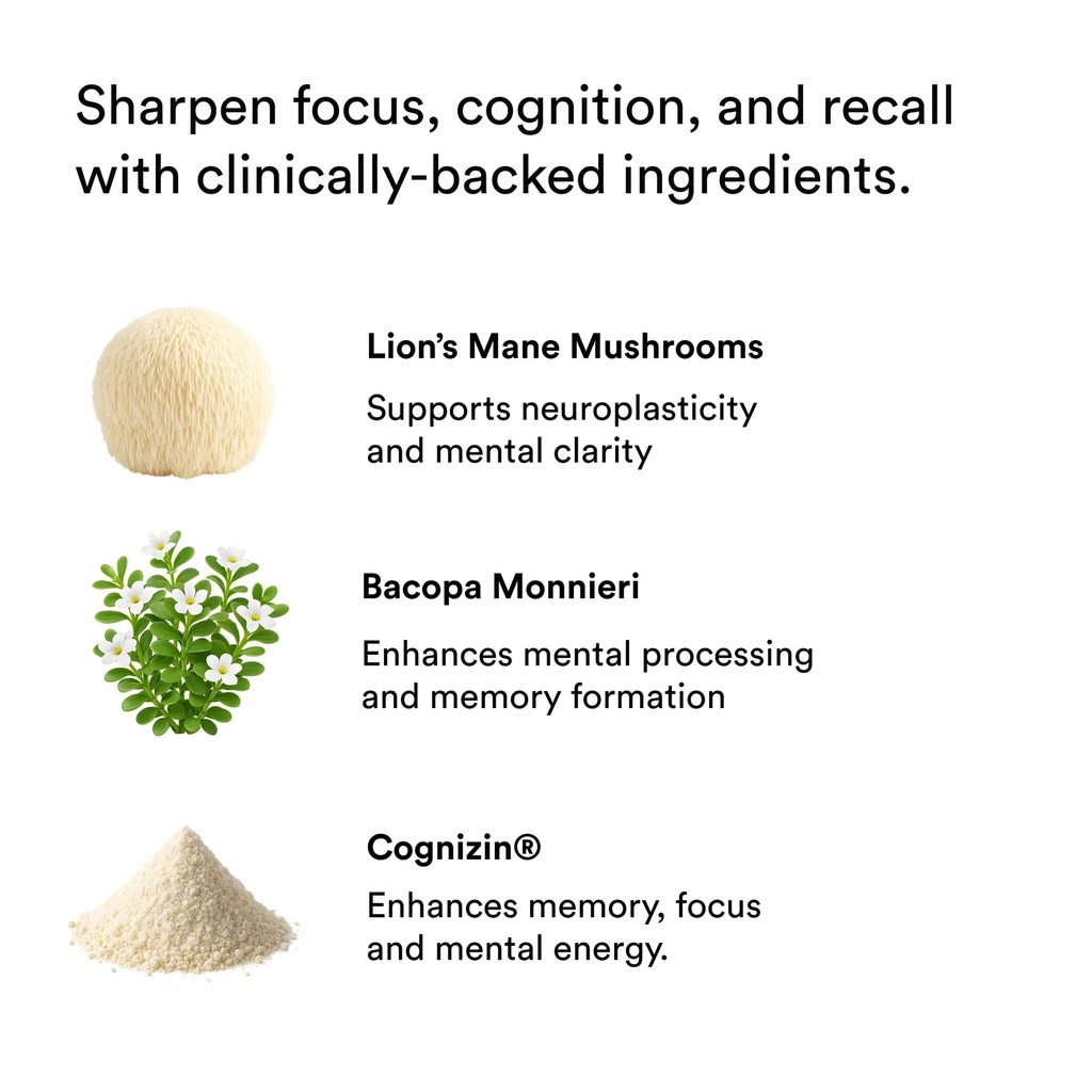 magic-mind-maxx-energy-focus-nootropic-s-6.jpg