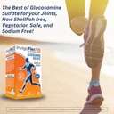 invigoflex-gs-glucosamine-sulfate-shellf-4.jpg